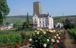 Londres, París, Suiza y Austria