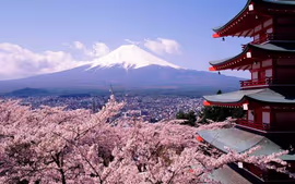 Maravillas de Japón - Vuelos desde Miami
