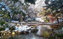 Exploradores en Japón