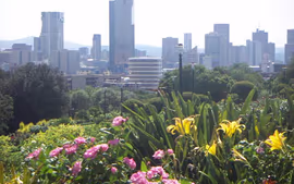 Sudáfrica Esencial - Cat. Classic