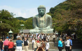 Japón Express - Cat. Estándar