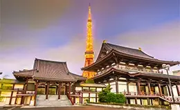 El vibrante Shibuya Crossing y el Templo Meiji