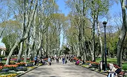 Explora el Palacio Topkapi, sus patios y pabellones
