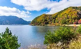 Paseo en barco por el Bósforo entre Europa y Asia