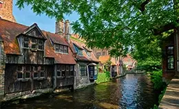 Descubra la mágica Brujas.