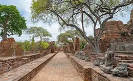 Exploración del Parque Histórico de Ayutthaya.	