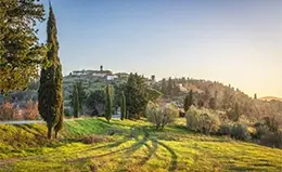 Sumérgete en los paisajes de la Toscana