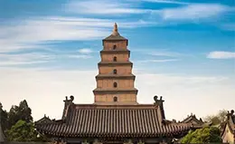 Exploración de la Pagoda de la Oca Silvestre