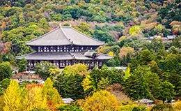 Encuentro con el Buda gigante en el Templo Todaiji