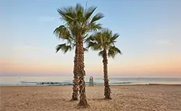 Llegada a la Costa Mediterránea.