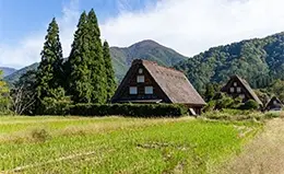 Visita las icónicas casas Gassho-Zukuri en Shirakawago