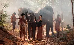 Interacción con elefantes en el Santuario de Elefantes.	
