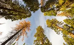 Visita a la magnífica Secouy National Park