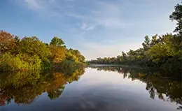 Viaje hacia la vibrante Berlín.