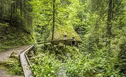 Descubre arte bizantino en Rávena cruce los Apeninos y sienta la conexión con la naturaleza