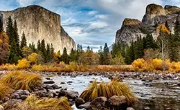 Disfruta de los paisajes de ensueño del Yosemite
