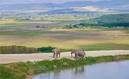 Explora el impresionante Parque Nacional de Tsitsikama