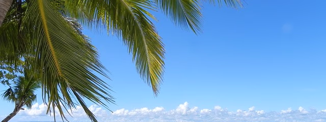 FILIPINAS: MANILA - EXCLUSIVO SPECIAL TOURS