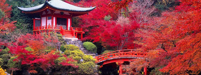 JAPON CON ESTILO