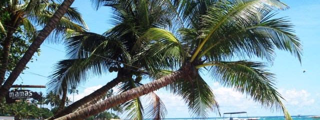 SRI LANKA, LA LAGRIMA  DE LA INDIA Y EXTENSION PLAYA HOTEL TRINCO BLU (desde Mayo 2026 a Octubre 2026)